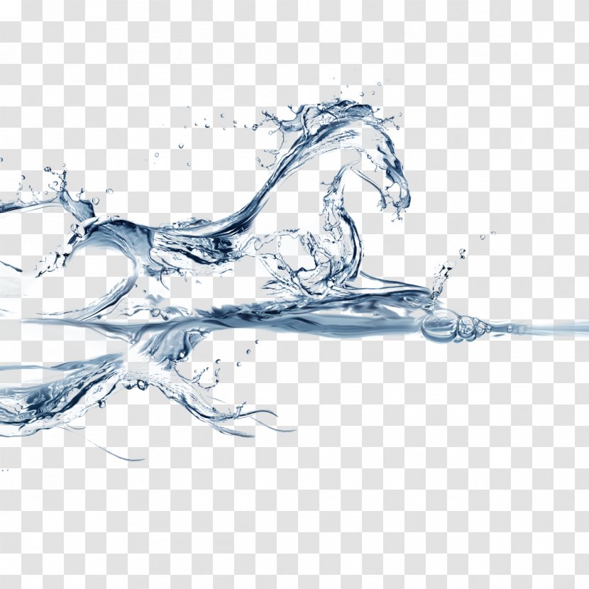 Water Horse Wallpaper - Drop - In Transparent PNG