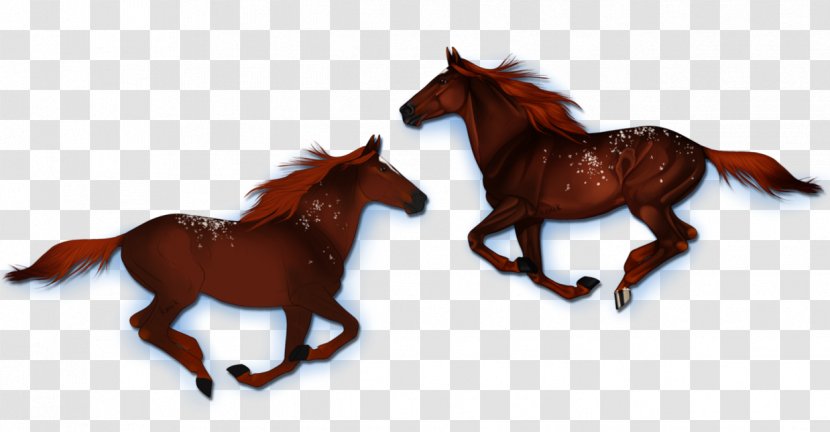 Brumby Kaimanawa Horse Mustang Stallion Equestrian - Foal - Shading Snowflake Transparent PNG