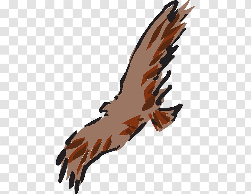 Eagle Feather Art Clip - Flight Transparent PNG