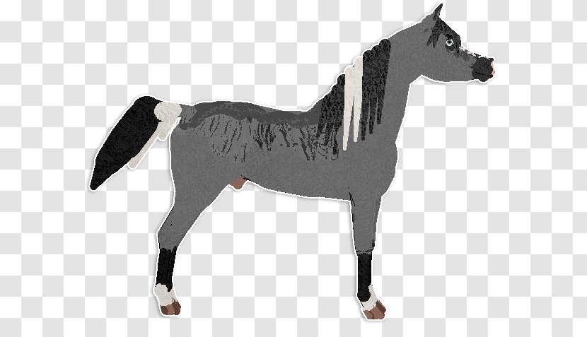 Stallion Mustang Rein Mare Halter - Pony Transparent PNG
