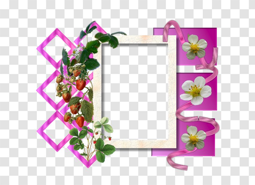 Self-help Book Secondary Education Picture Frames Floral Design - Motherinlaw Day - Phonebook Transparent PNG