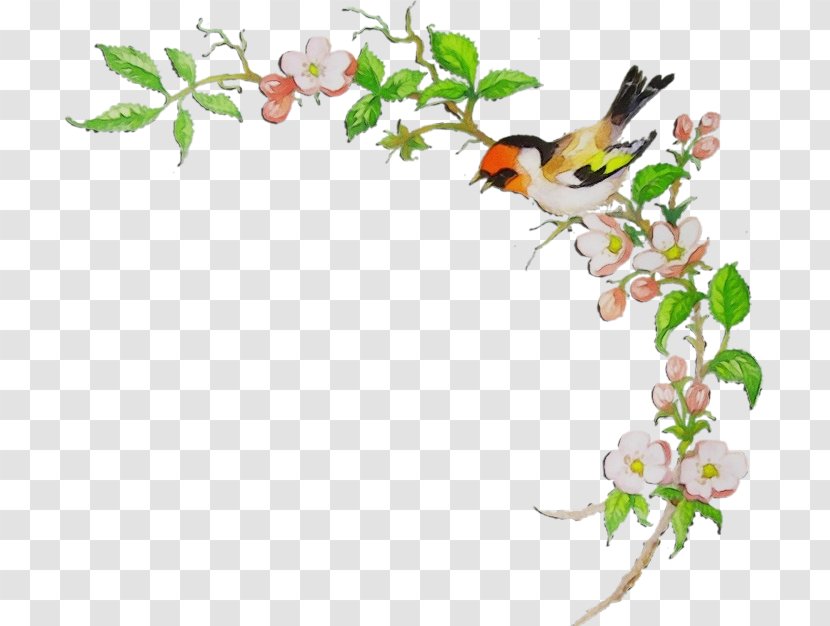 Watercolor Flower Background - Lesson - Blossom Perching Bird Transparent PNG