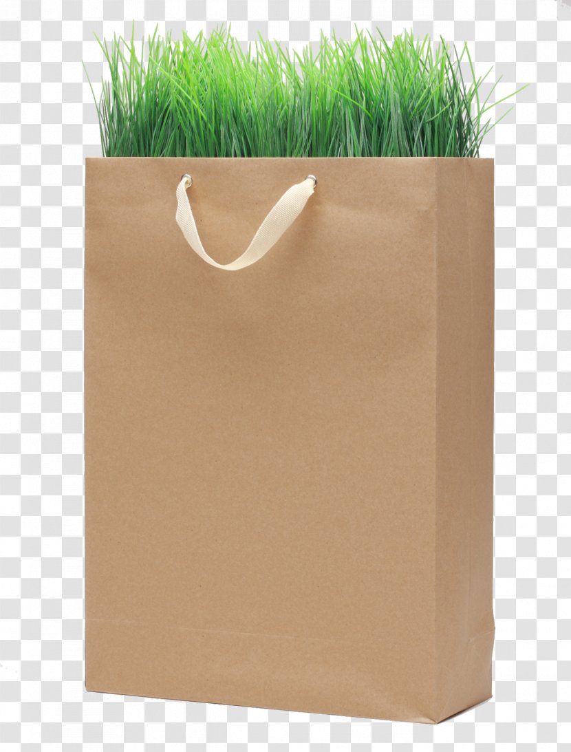 Kraft Paper Shopping Bag - Google Images - Environmentally Friendly Bags Transparent PNG