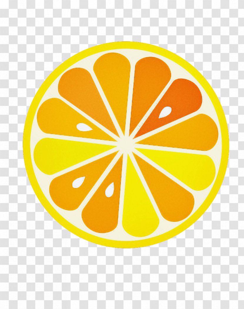 Orange - Citrus - Plant Grapefruit Transparent PNG