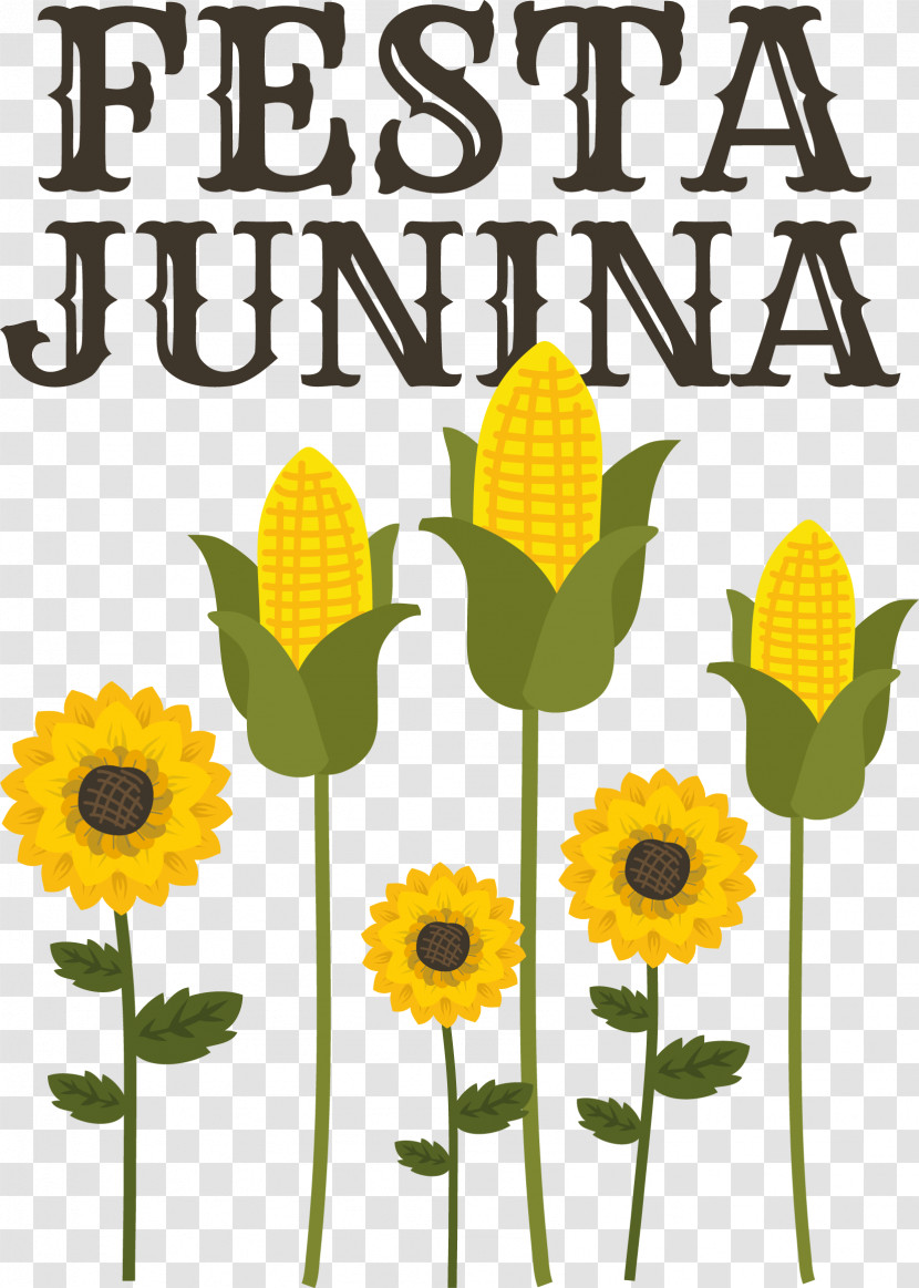 Flower Daisy Family Plant Stem Sunflower Seed Sunflowers Transparent PNG