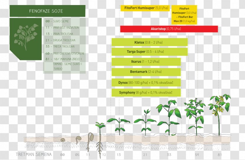 Brand Green Font - Diagram - Design Transparent PNG