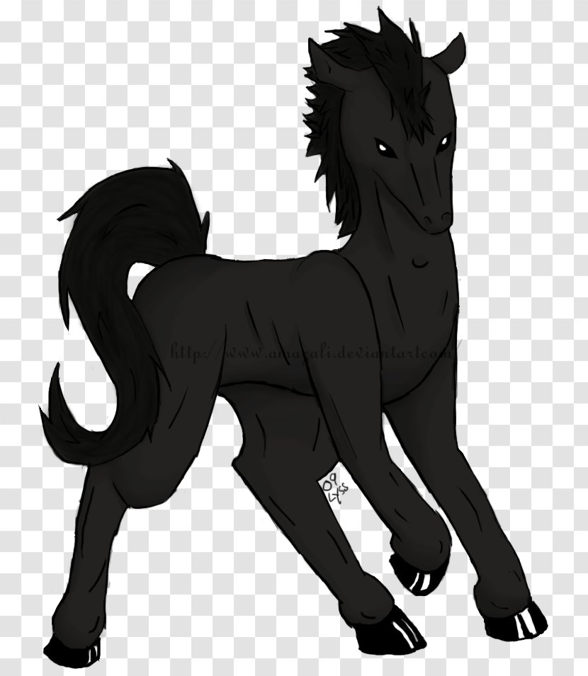 Pony Mustang Stallion Mane Pack Animal - White Transparent PNG