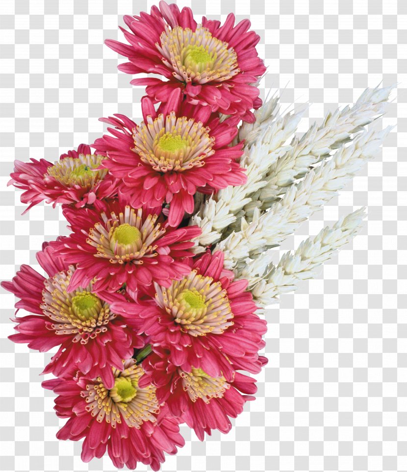 Cut Flowers Flower Bouquet - Annual Plant - Of Transparent PNG
