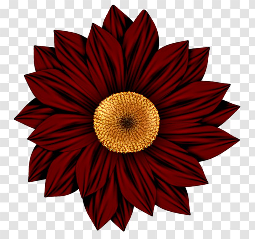 Flower Drawing Art Clip - Picasa - Red Sunflower Transparent PNG