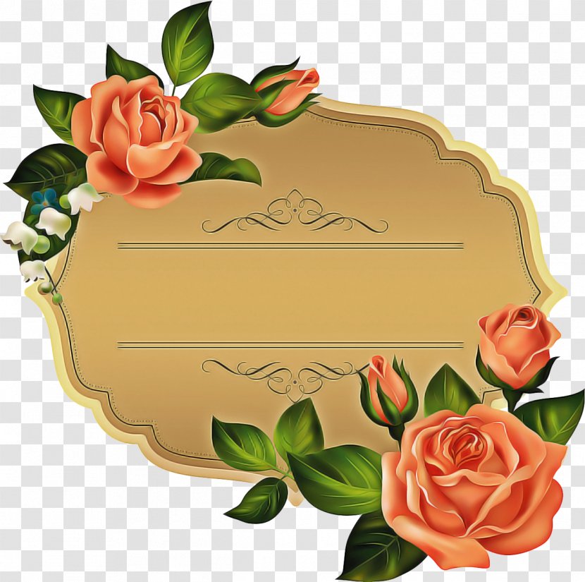 Drawing Of Family - Plant - Garden Roses Rectangle Transparent PNG
