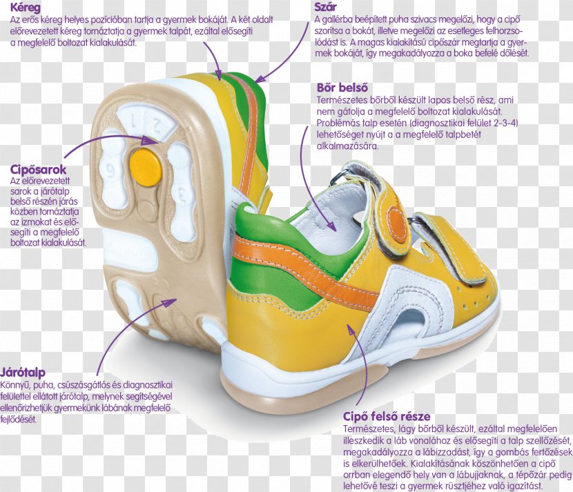 Shoe Footwear Sandal Child Memo Transparent PNG