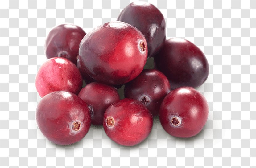 Cranberry Juice Fruit Blueberry - Superfood - Cranberries Transparent PNG