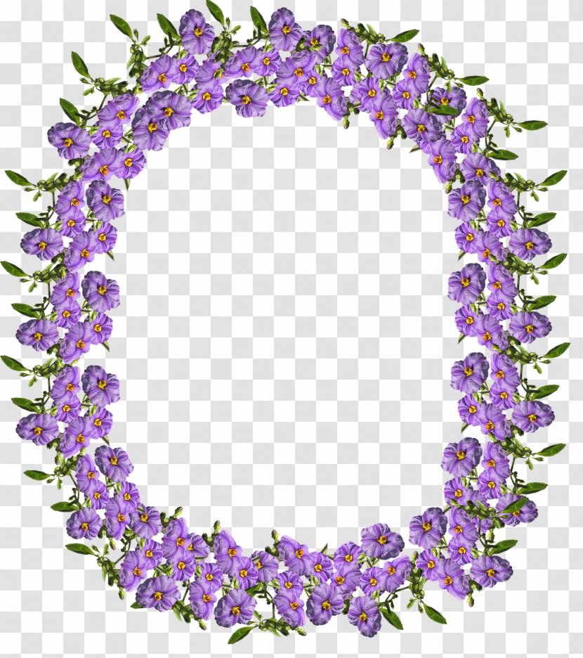 Purple Lilac Lavender Violet - Blue - PURPLE BORDER Transparent PNG