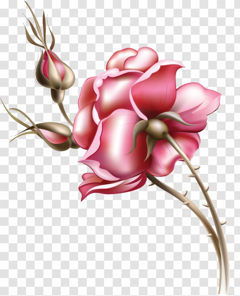 Rose Flower Floral Design - Frame - Tmall Wedding Fair Transparent PNG