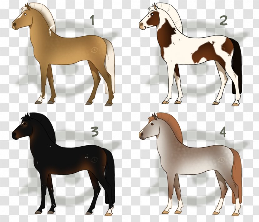 Foal Pony Mustang Art Stallion - Terrestrial Animal - SOLD OUT Transparent PNG