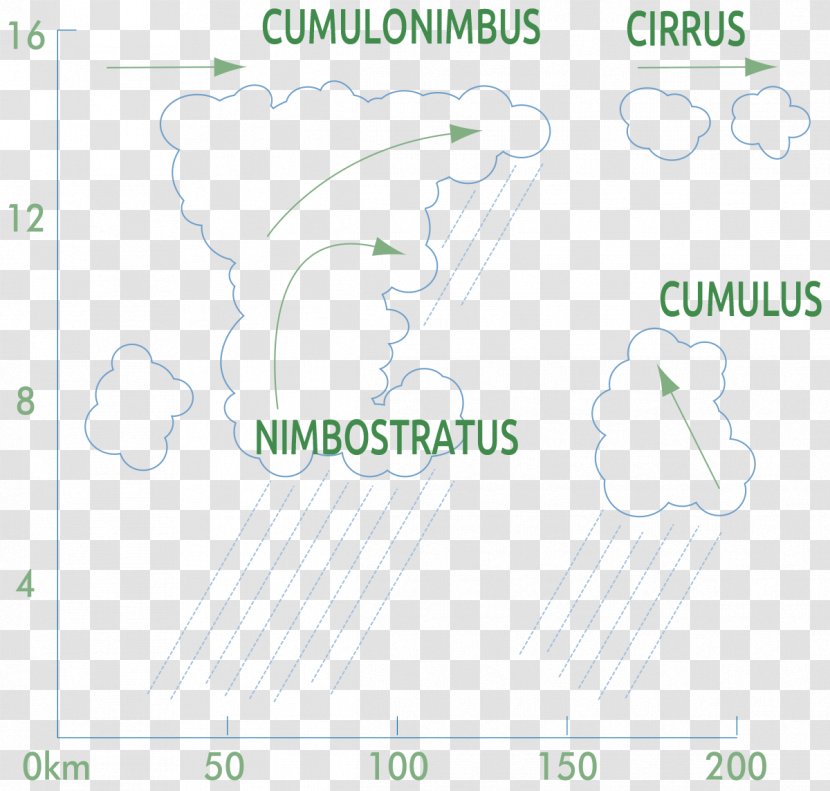 Paper Product Design Graphics Green Pattern - Map Transparent PNG