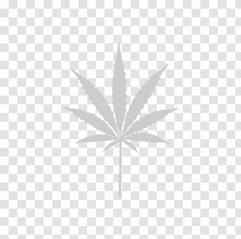 Medical Cannabis Stock Illustration Photography - 420 Day Transparent PNG