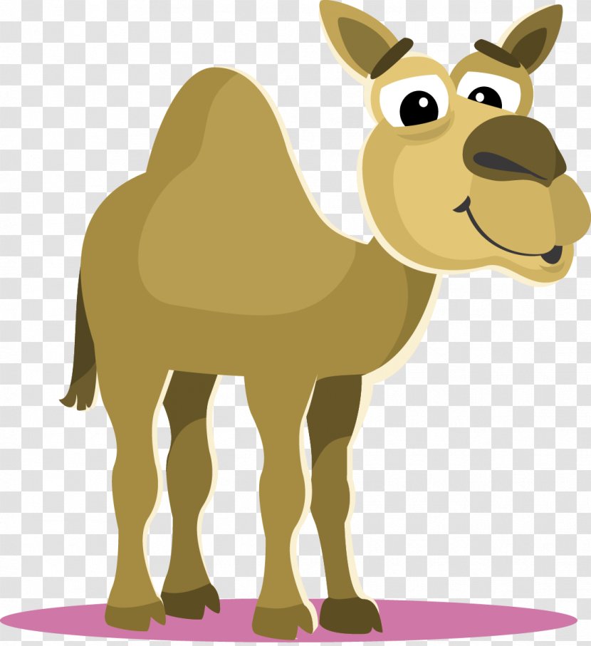 Camel Cartoon Clip Art - Horse Transparent PNG