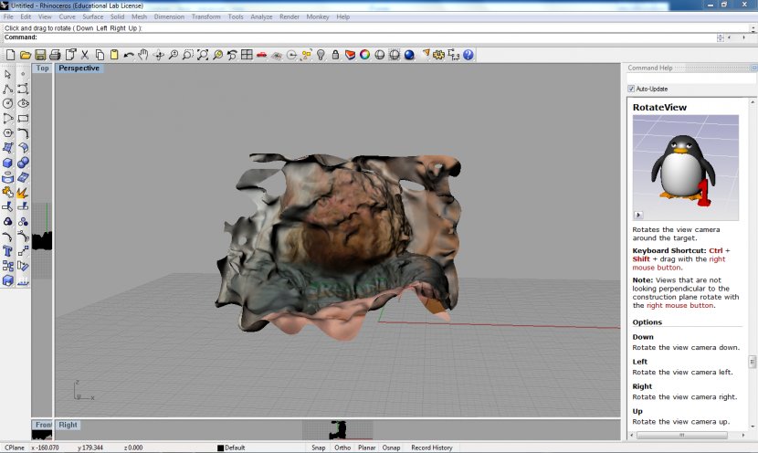 Computer Software Graphics Multimedia Technology Screenshot - Video - Rhino Transparent PNG