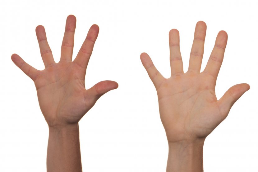 Handshake Finger Arm - Fingers Transparent PNG