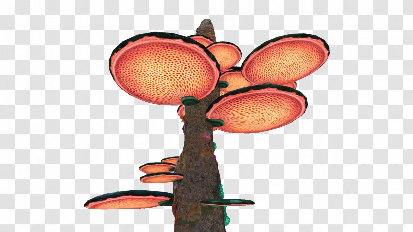 Tree Erythrina Clip Art - Cartoon - Coral Cliparts Transparent PNG