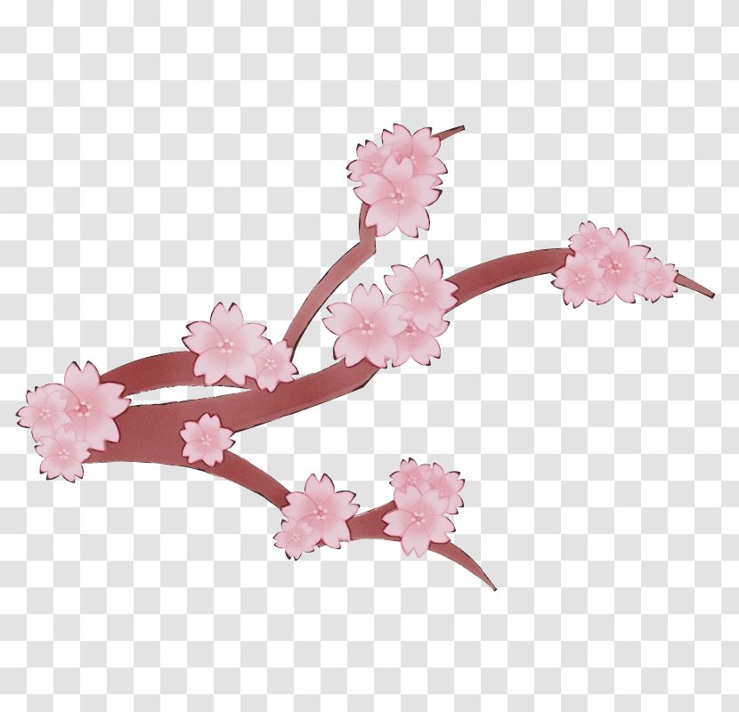 Cherry Blossom - Paint - Prunus Twig Transparent PNG