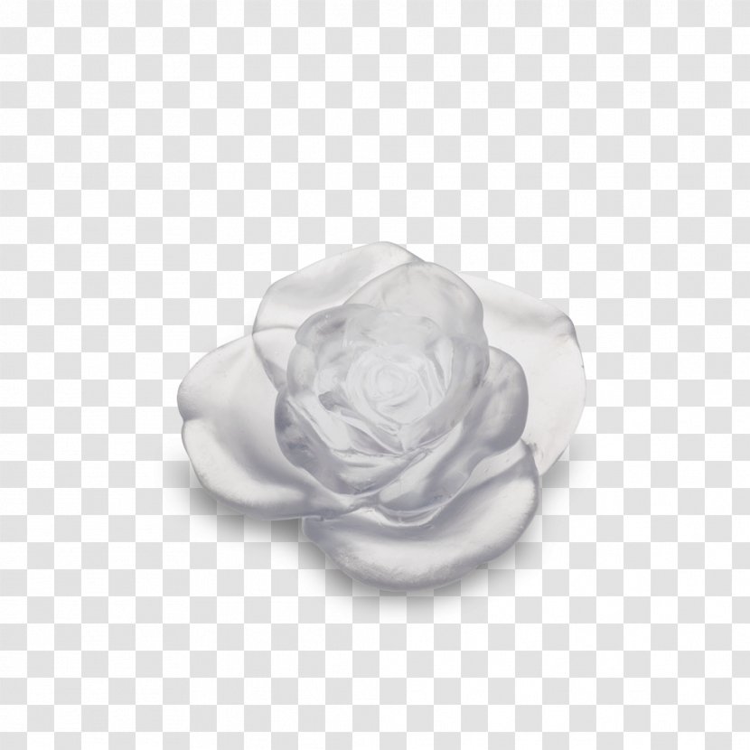 White Rose Flower Green Red - Family Transparent PNG