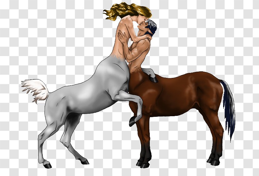 Centaur Horse Drawing Foal Transparent PNG