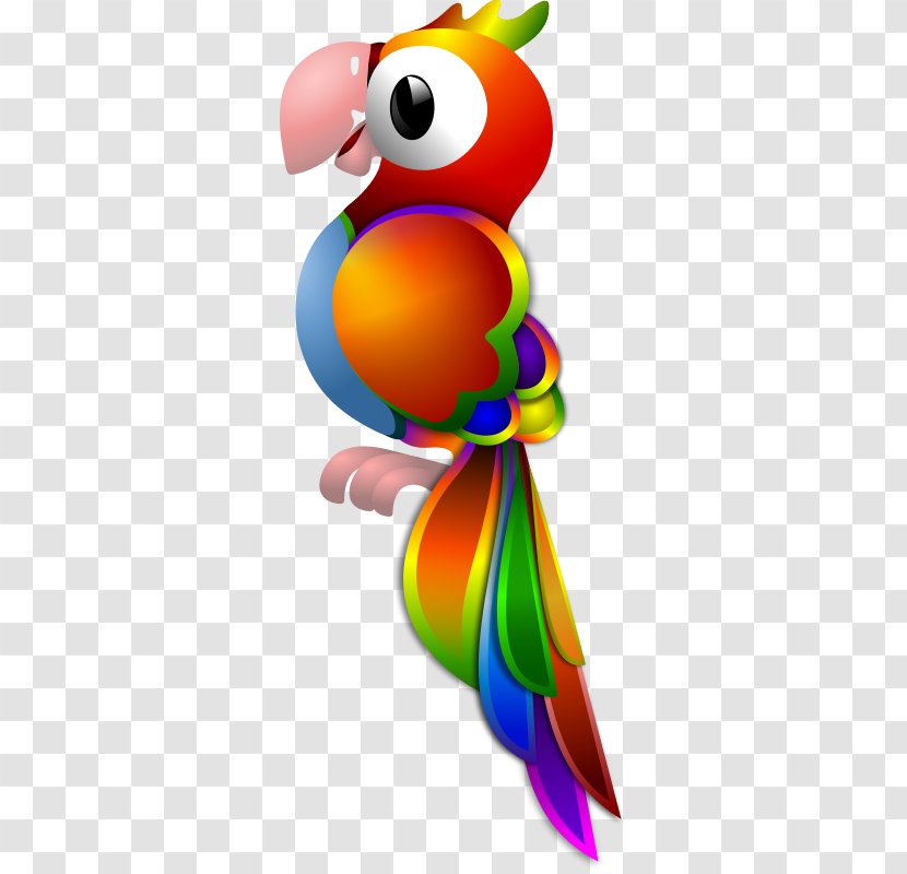 Pirate Parrot Bird Parakeet Clip Art - Cliparts Transparent PNG