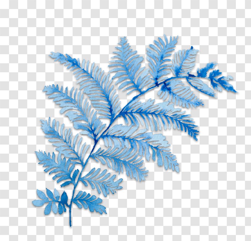 Flower Falling - Breakup - Ferns And Horsetails Twig Transparent PNG