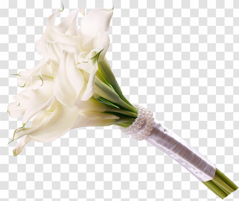 Floral Design Cut Flowers Flower Bouquet Orchids - Plant Transparent PNG