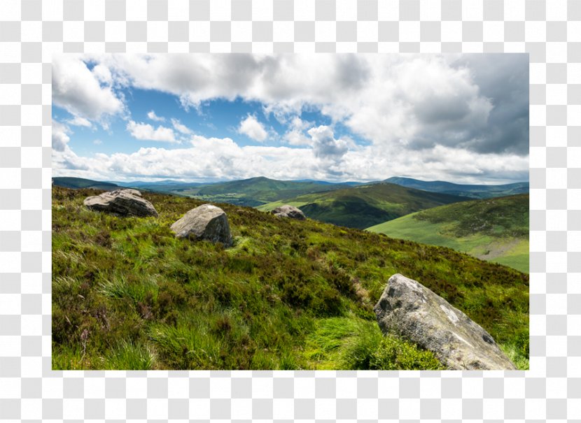 Wicklow Mountains Landscape Photography Ecoregion Panorama - Tundra - Mountain Watercolor Transparent PNG