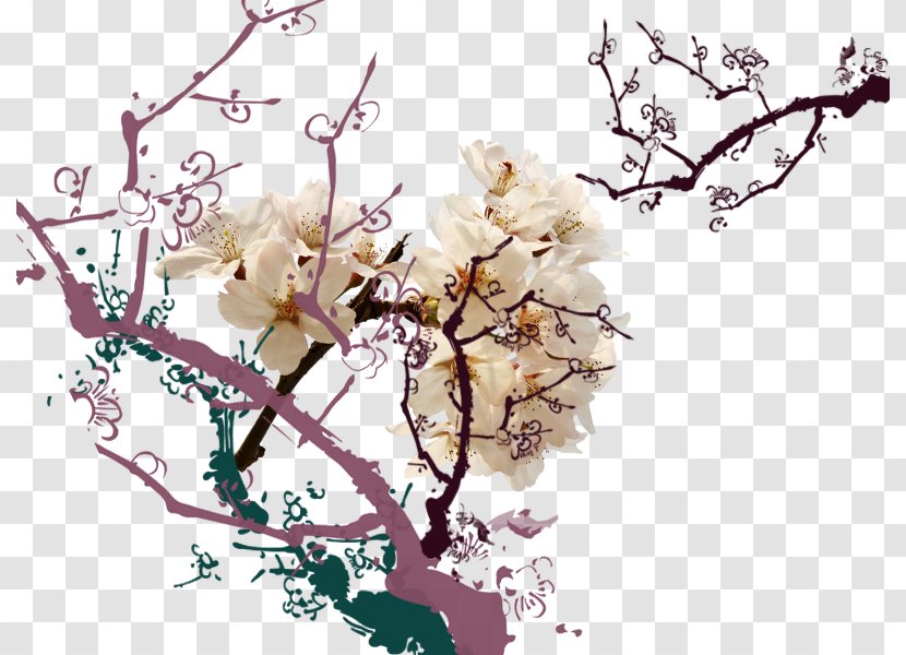 Apricot Petal - Raster Graphics - White Open Branches Transparent PNG