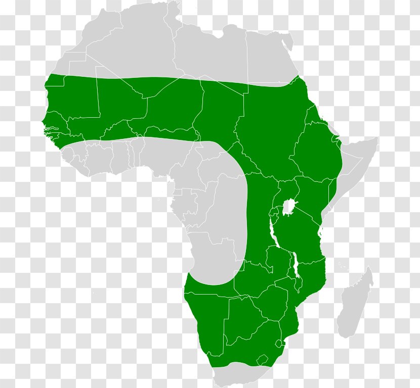 Togo South Africa Vector Map - Distribution Transparent PNG