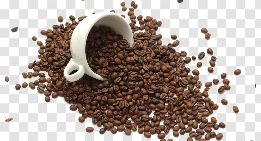 Instant Coffee Tea Bean Roasting - Beans Transparent PNG