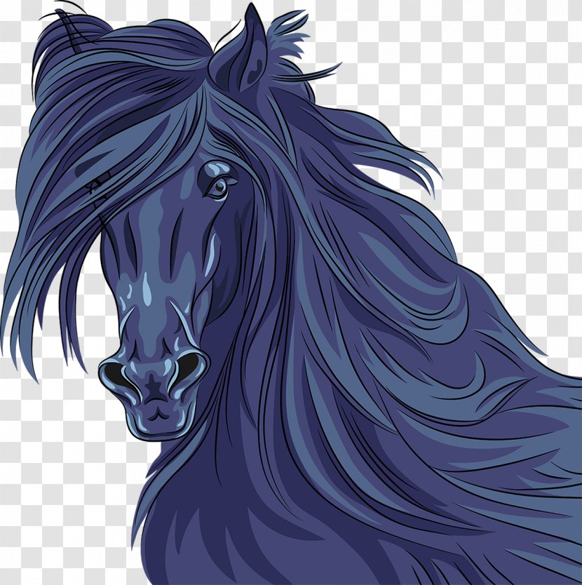 Horse Stallion Portrait - Head Transparent PNG