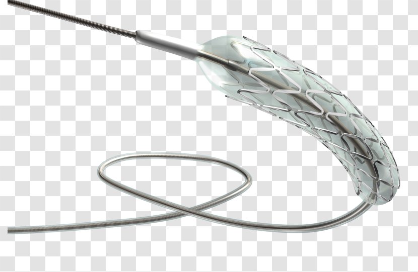 Interventional Cardiology Radiology Health Care - Fashion Accessory - Peripheral Vascular System Transparent PNG