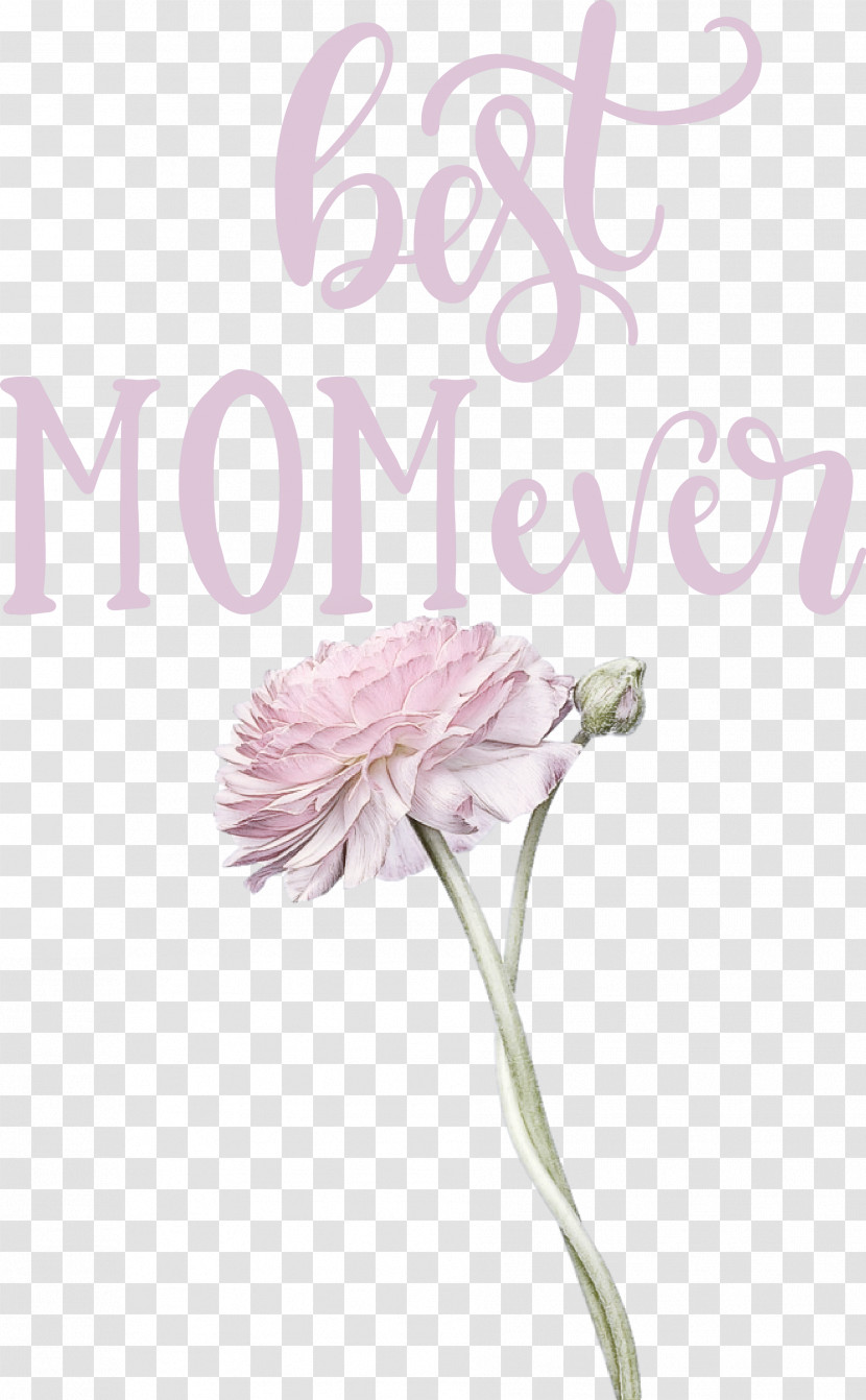 Mothers Day Best Mom Ever Mothers Day Quote Transparent PNG