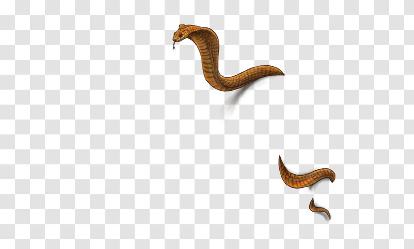 Reptile Worm Font - Golden Scar Transparent PNG