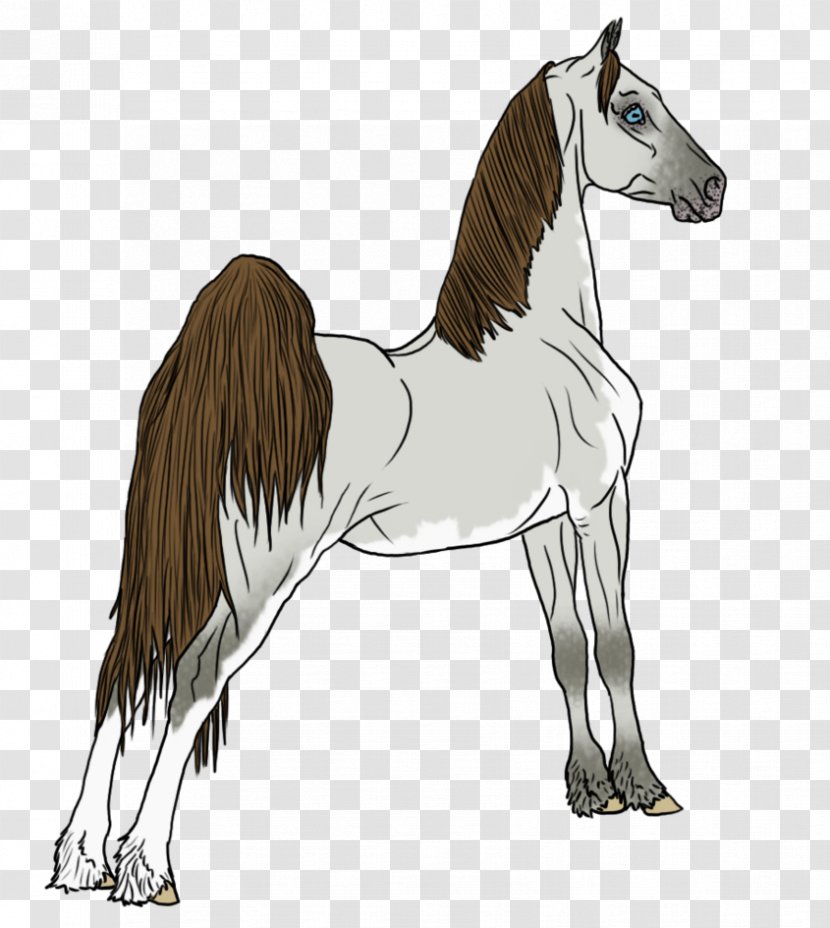 Mane Mustang Foal Stallion Colt - Rein Transparent PNG