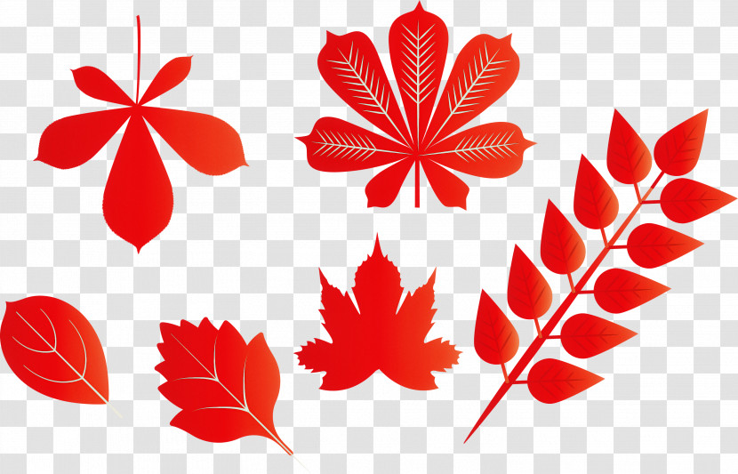 Autumn Leaf Autumn Color Transparent PNG