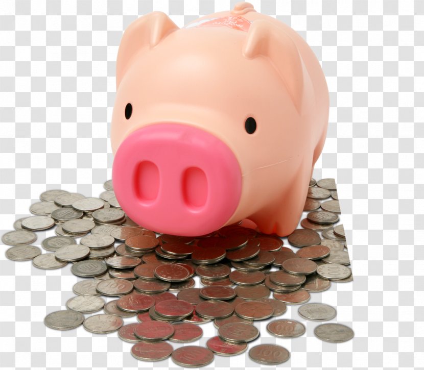 Piggy Bank Domestic Pig Finance Money - Like Mammal Transparent PNG