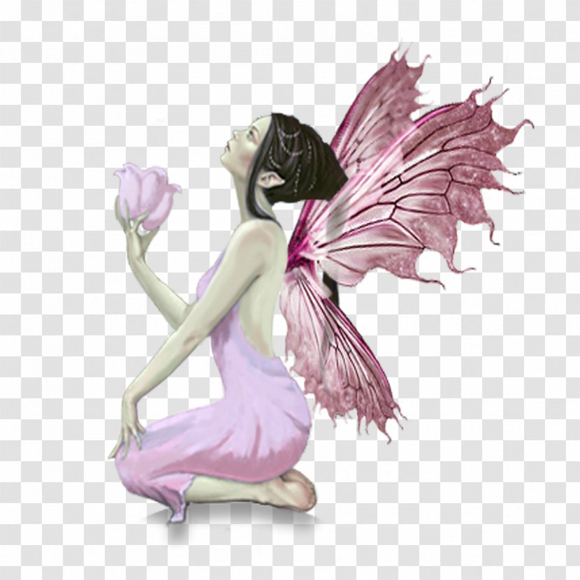 Butterfly Fairy Diamonds And Toads Elf - Fictional Character Transparent PNG