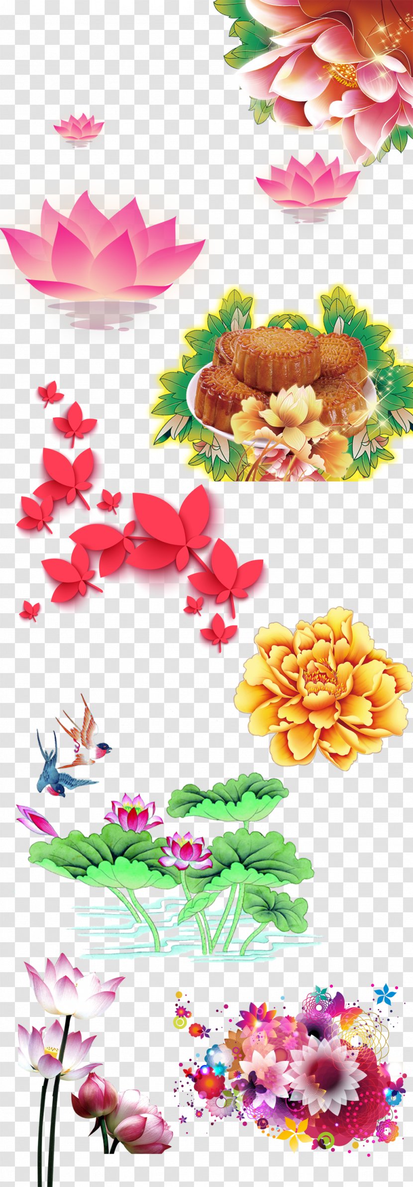 Download - Flower - Mid Autumn Lotus Transparent PNG