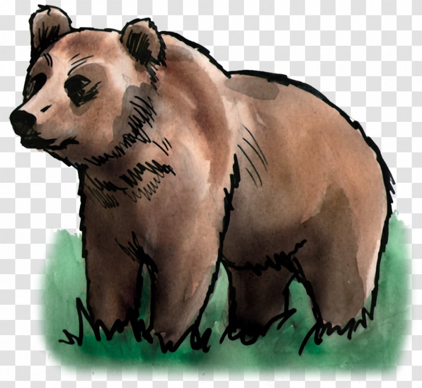 Bear Terrestrial Animal Snout Wildlife - Mammal Transparent PNG