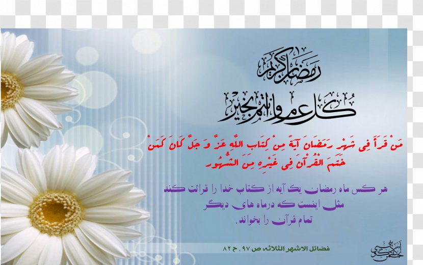 Quran Forty Hadith Ramadan Month - Flowering Plant Transparent PNG