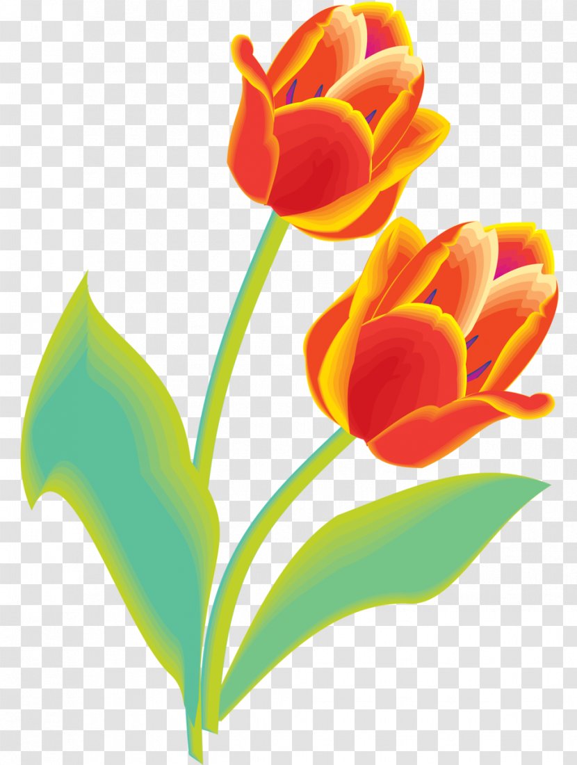 Tulip Clip Art - Plant Transparent PNG