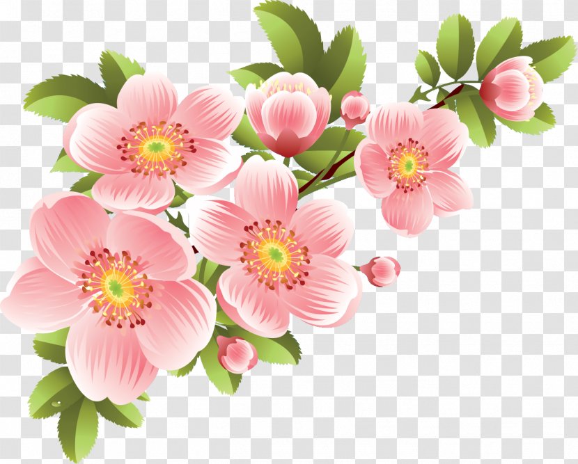 Flower Banner - Royaltyfree - Flowers Transparent PNG