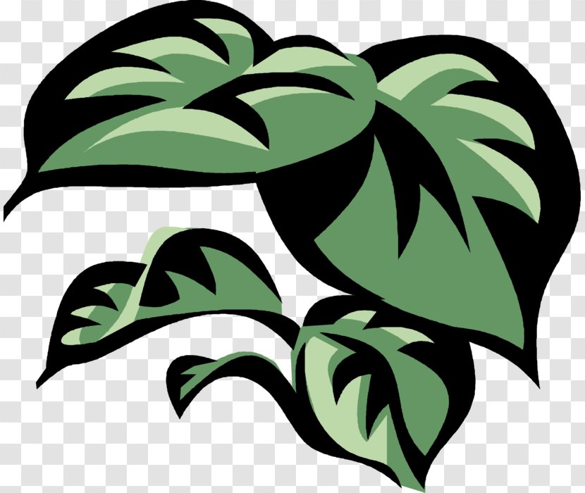 Leaf Stencil Template Drawing Image - Philodendron Graphic Transparent PNG