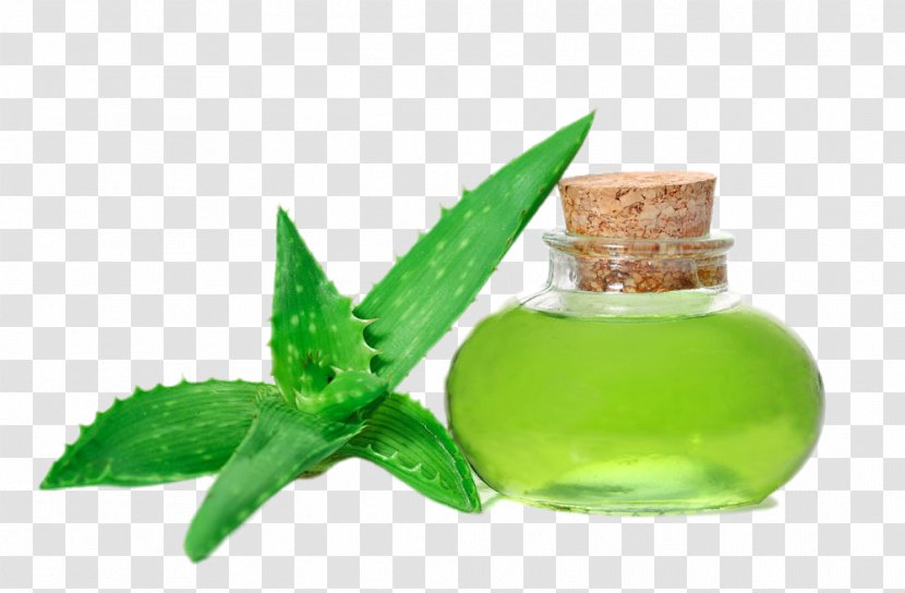 Aloe Vera Acne Pimple Skin Scar - SPA Beauty Juice Transparent PNG